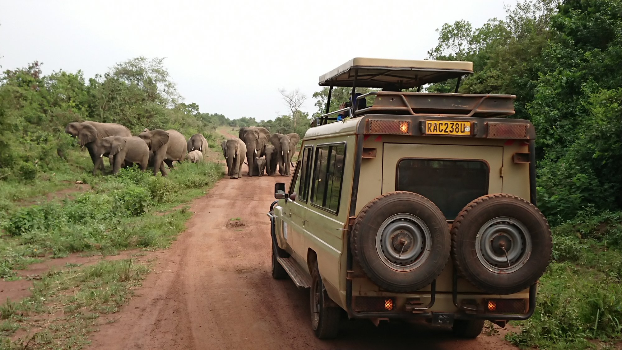 1 Day Akagera Big Five Day Trip
